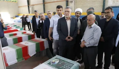 ادای احترام وزیر بهداشت به مقام ۲۱ شهید حمله موشکی آمریکا و اسرائیل در لامرد