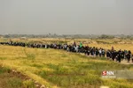 دیوانیه
