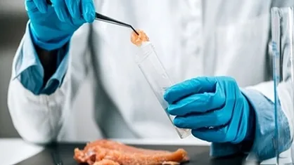تجاری&zwnj;سازی مرغ لاین را اجرای ۶ برنامه ملی توسعه می&zwnj;دهد