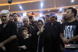 دبب