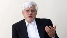 عارف: تعزیرات حکومتی باید در هماهنگی کامل با دولت عمل کند + فیلم