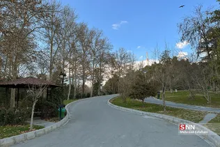 new
