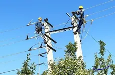 ۸۰۰۰ انشعاب غیرمجاز برق در استان تهران شناسایی شد