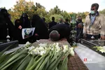 سیل
