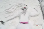 دبب