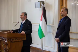 زیادنخاله