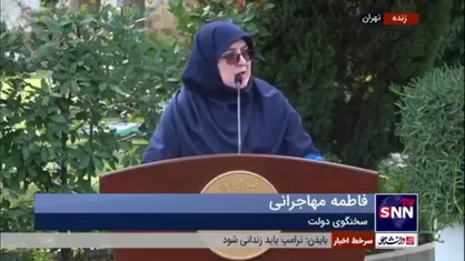 مهاجرانی: دولت از طریق قوه قضاییه در حال پیگیری مساله دو خبرنگار بازداشتی است