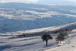 برف1