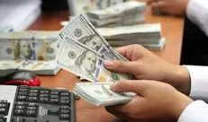 دلار چند نرخی عامل التهاب و توزیع رانت/ اعمال محدودیت روی بازار اسکناس راهکار کاهش نرخ ارز است