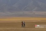 عشایر
