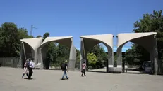تاسیس رشته مطالعات عربستان در دانشگاه تهران