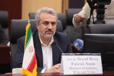 فاطمی امین: ظرفیت بازرسی وزارت صمت ۱۰ برابر شد/ ادامه ارز ۴۲۰۰ منجر به کمبود کالا در کشور می‌شد