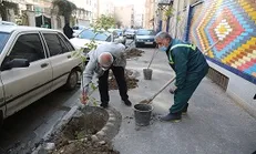 از ابتدای سال تاکنون، بیش از ۷ هزار نهال در معابر و بوستان‌های منطقه ۱۱ کاشته شد