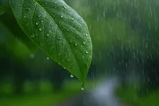 بارش باران در ۱۷ استان