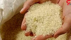 اکبریان: حباب کاذب قیمت برنج توسط دلالان به وجود می‌آید/ باید نرخ هر کیلو برنج حداکثر ۳۲ هزار تومان باشد