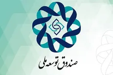 طلب ۱.۲ میلیارد دلاری صندوق توسعه ملی از نیروگاه‌ها