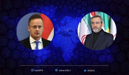 باقری: حیات اشغالگران در ترویج بی&zwnj;ثباتی است