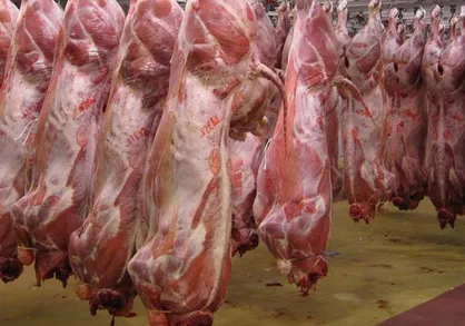 مرکز آمار: تولید گوشت قرمز ۱۹ درصد افزایش یافت