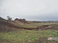 بهره گیری از آب باران برای تولید علوفه و حاصلخیزی خاک