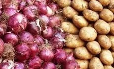 صادرات پیاز و سیب‌زمینی ممنوع می‌شود