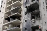 دبب