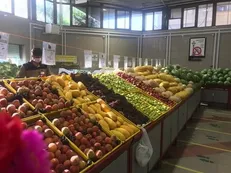 وضعیت قیمت میوه‌های تابستانی در هفته نخست تیرماه در بازار تره بار