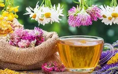 آیا غذا‌های طبع گرم سیستم ایمنی را تقویت می‌کند؟
