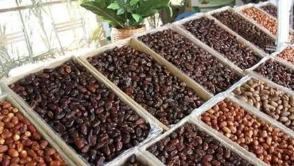 فرخی: نرخ مصوب فروش خرما در بازار رعایت نمی&zwnj;شود