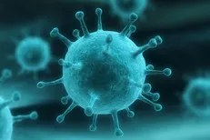 مدارس و مراکز آموزش عالی هرمزگان دو روز غیرحضوری می‌شوند