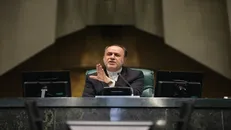 حاجی بابایی: دولت هر چه زودتر مطالبات گندم‌کاران را پرداخت کند