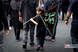 جاماندگان