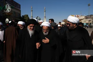 تشیع