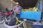 آفتاب گردون