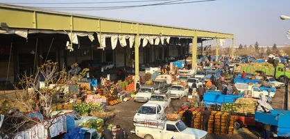 ثبات قیمت و موجودی کافی در بازار&zwnj; میوه&zwnj; و تره&zwnj;بار قم
