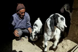 آب رسانی سیار