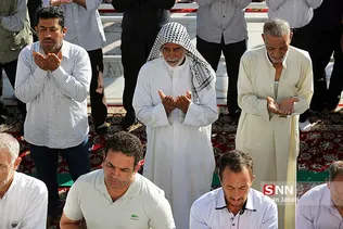 مشد