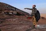 پارا