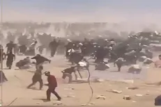 سازمان دیده بان حقوق بشر: سیستم توزیع کمک‌ها در غزه معیوب است
