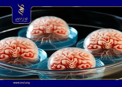 طراحی نانوذرات هوشمند برای درمان آلزایمر با فناوری میکروفلوئیدیک