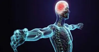 Als غم انگیزترین بیماری عصبی عضلانی