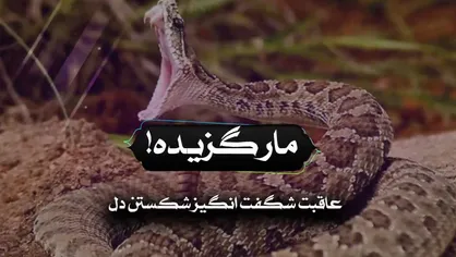 فیلم/ عاقبت شگفت انگیز شکستن دل!