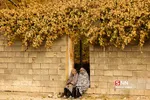 پاییز
