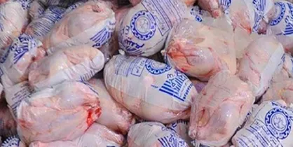 فروش &laquo;مرغ&raquo; بالاتر از ۱۰ هزارتومان گرانفروشی است