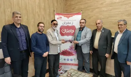دست&zwnj; واسطه&zwnj;گران از زعفران گلستان کوتاه می شود