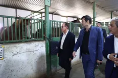 دنیامالی در بازدید از مجموعه سوارکاری نوروزآباد: زمین چوگان در اولویت است
