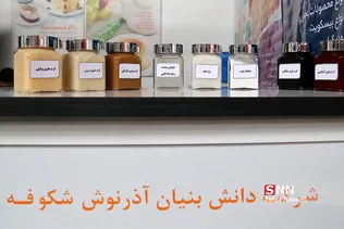 دومین نمایشگاه تخصصی شرکت های دانش بنیان ، خلاق و فناور
