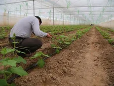 پرداخت ۲۹۷ میلیارد تومان تسهیلات به نیازمندان خراسان‌جنوبی