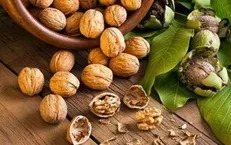 با خواص و فواید بی نظیر «گردو» آشنا شوید