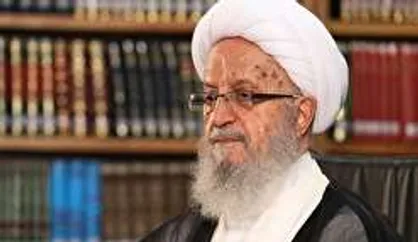 دنبال نفی نقش علمای مذاهب دیگر در گسترش علوم اسلامی نیستیم/ کتب خطی و ارزشمند علمی شیعه در کتابخانه&zwnj;ها زندانی هستند