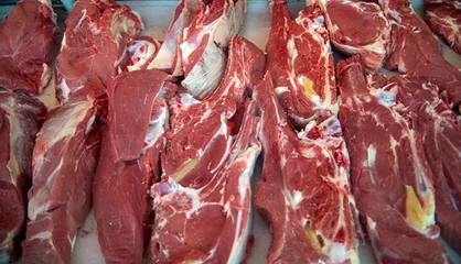عرضه گوشت اسب و الاغ در کشور وجود دارد؟